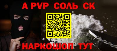индика Кулебаки