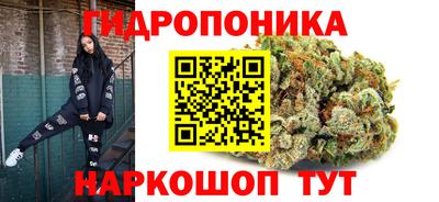 индика Кулебаки