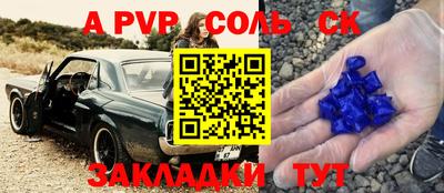 индика Кулебаки