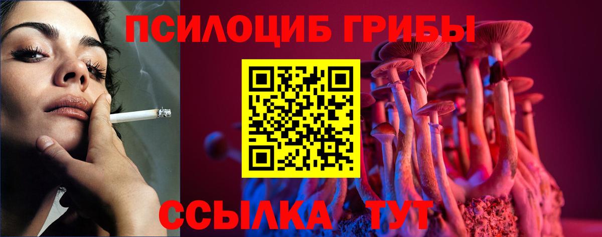 Добрянка  Галлюциногенные грибы мицелий  Вход с VPN 